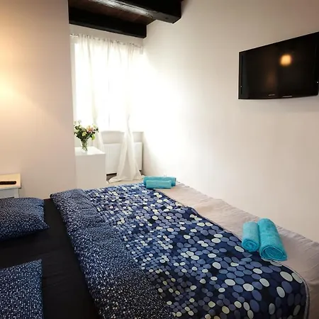 Mimosa Познань