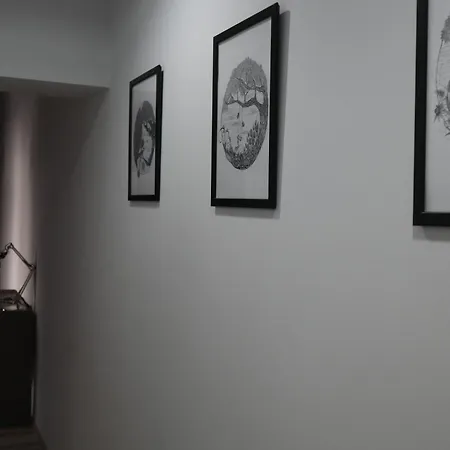 Mimosa Проживание в семье Познань