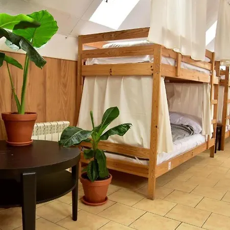 Mimosa Познань