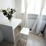 Mimosa * Poznan