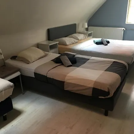 Accommodatie bij particulieren Mimosa *