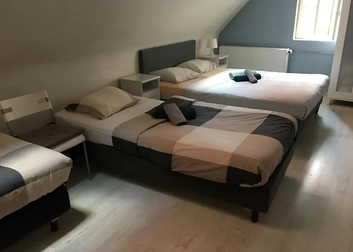 Kwatera prywatna Mimosa *